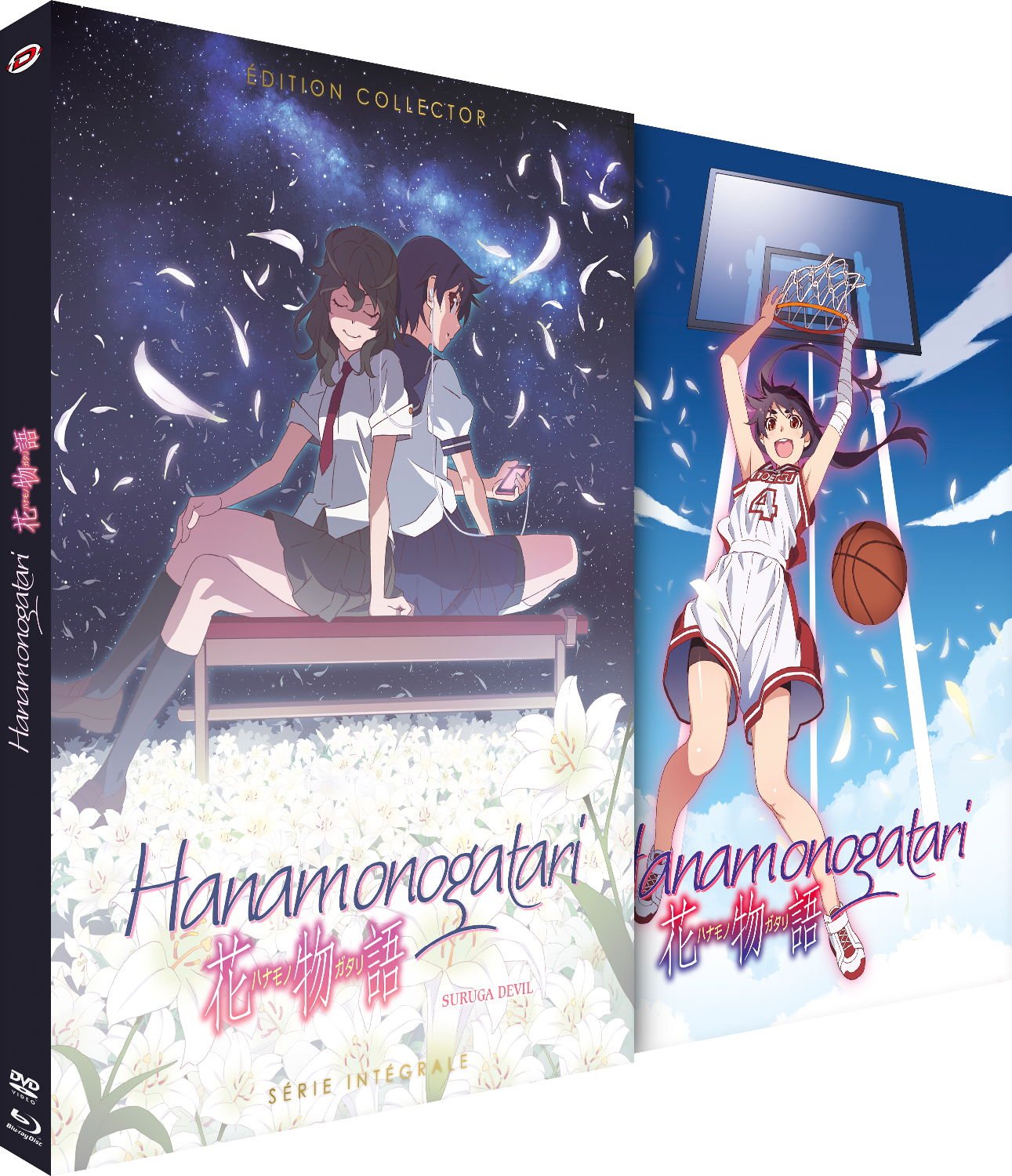 Image de présentation de Hanamonogatari – Intégrale