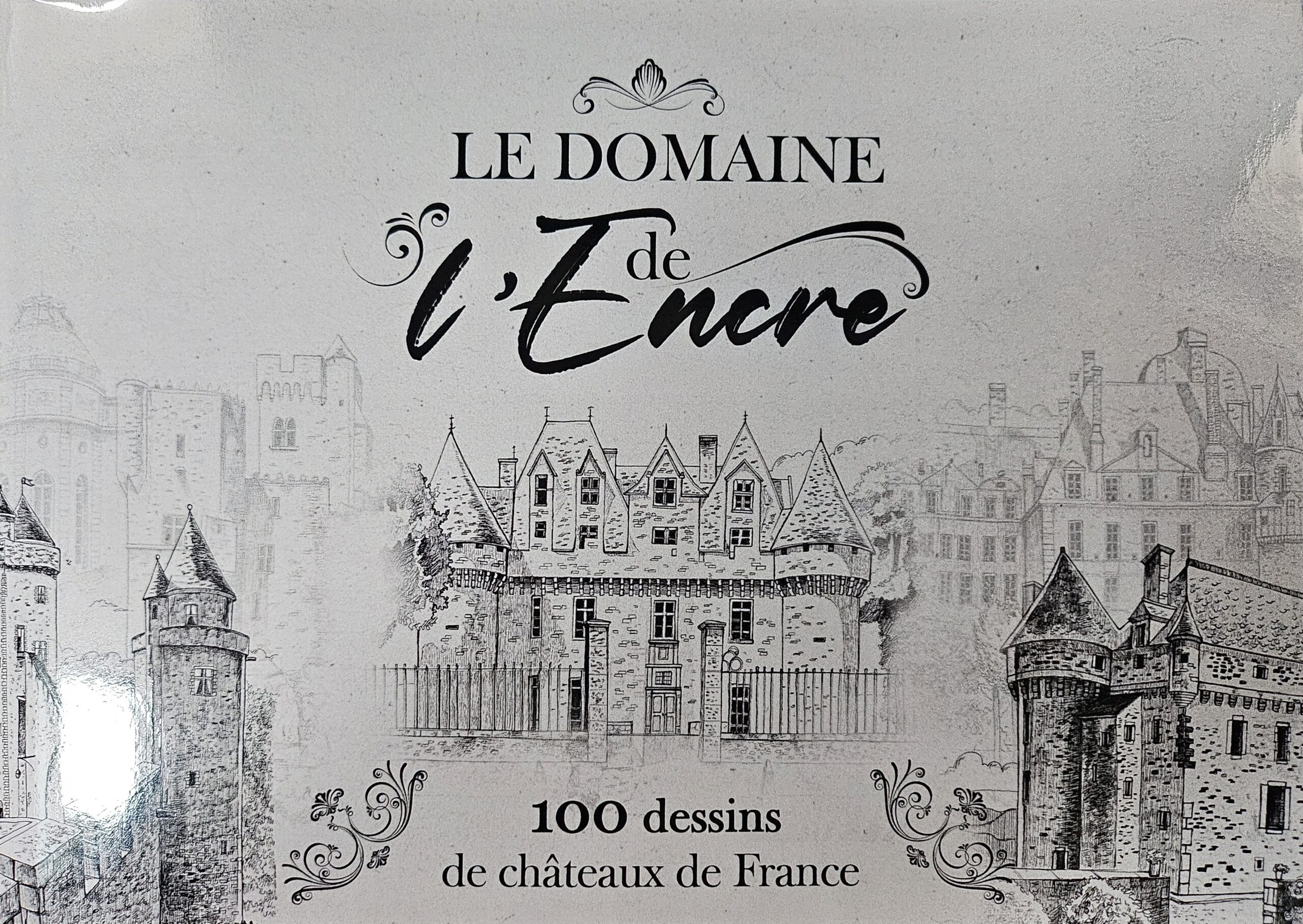 Image de présentation de Le Domaine de l’Encre